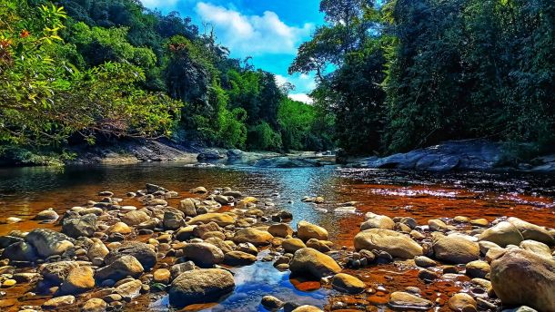 stongriver%20(2)-8cfa72c3